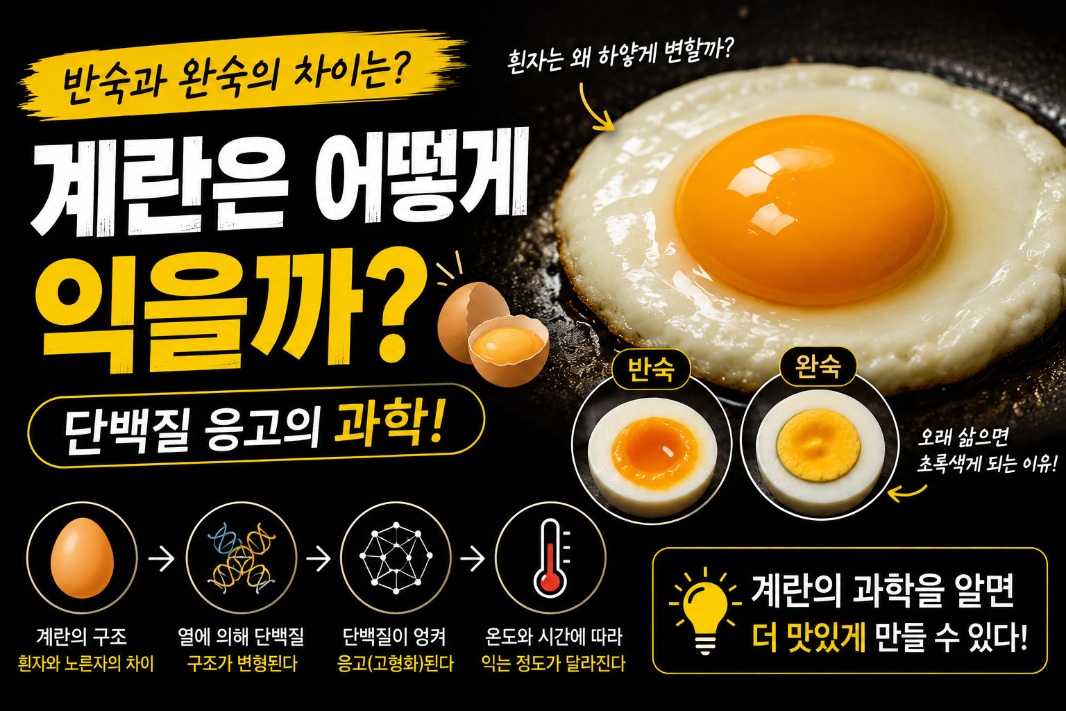 계란은 어떻게 익을까 썸네일